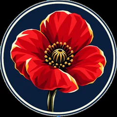 Remembrance poppy illustration